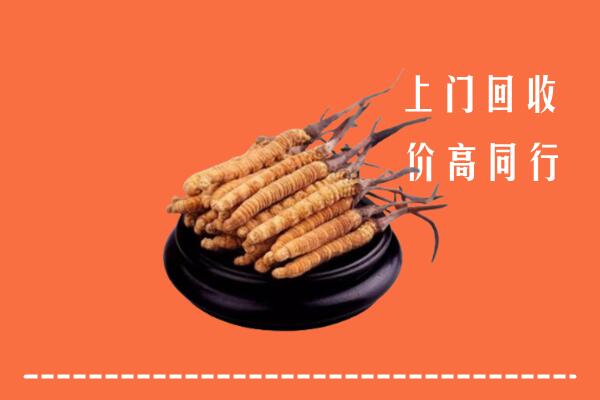 高价求购：海口市龙华区回收散虫草