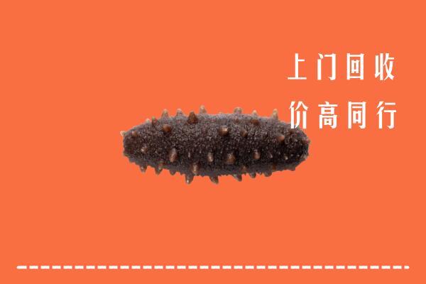 海口市龙华区回收海参